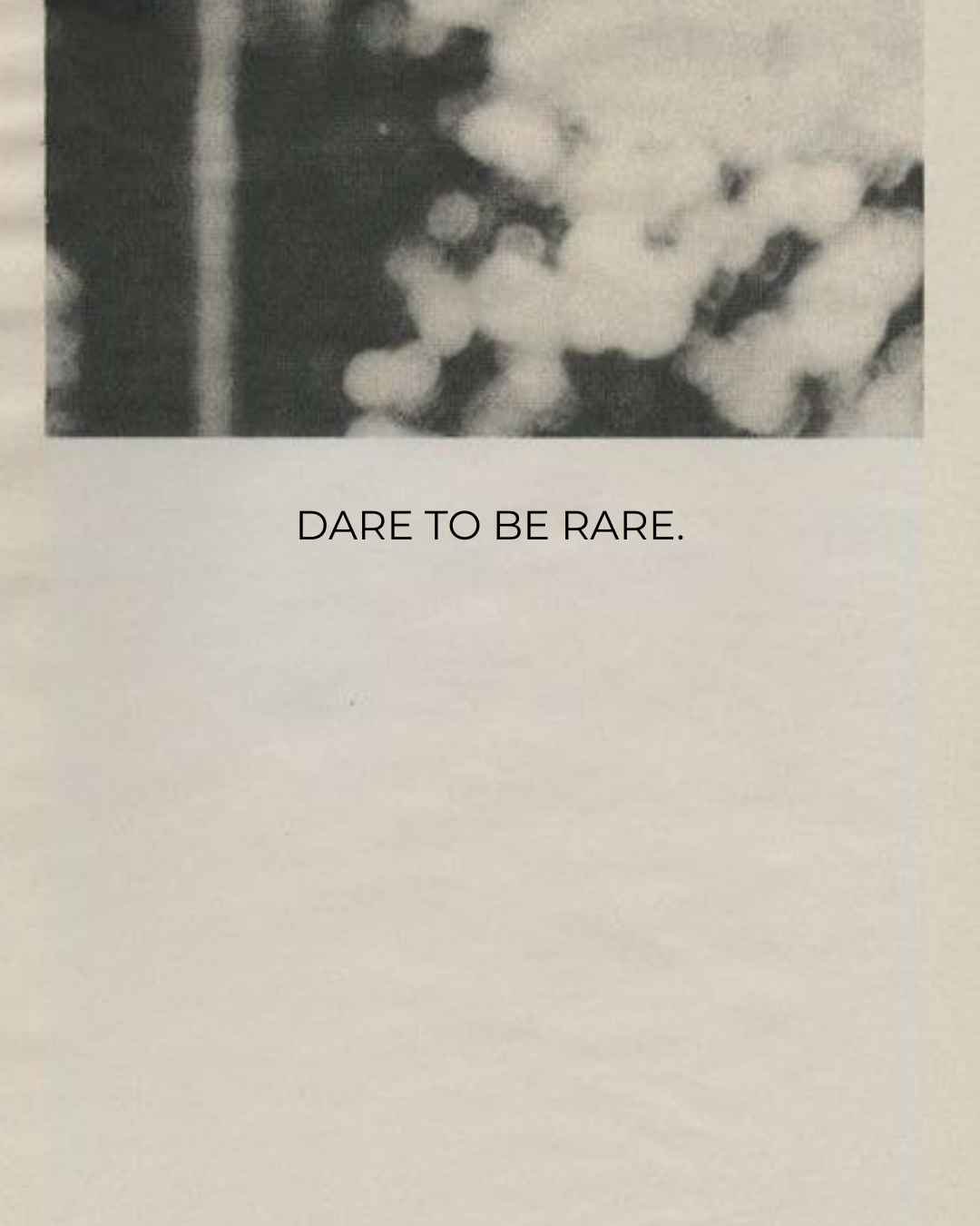 Home page